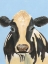 Picture of COW-DON BLEU II