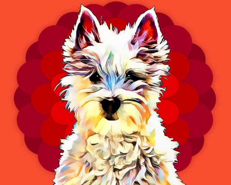 Picture of POP DOG II