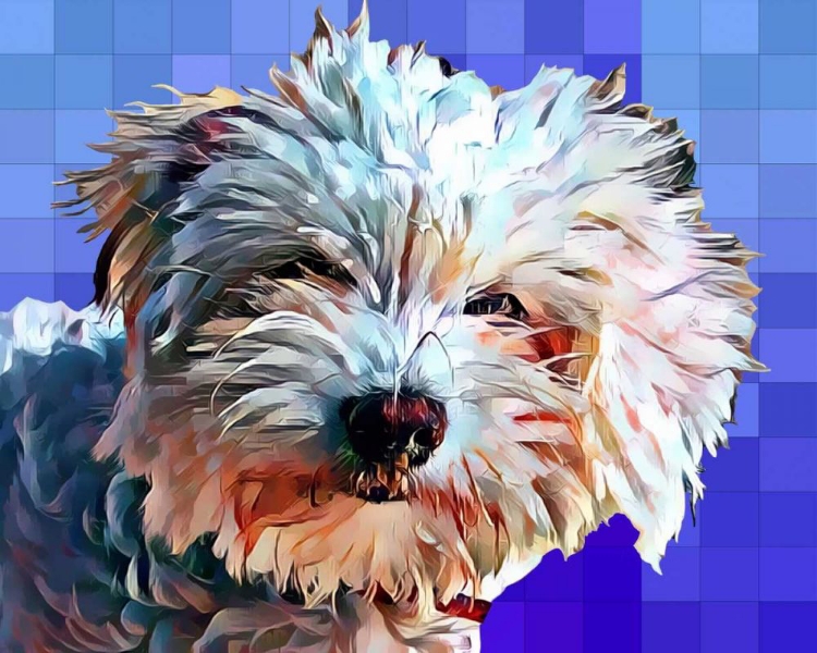 Picture of POP DOG V