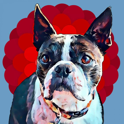 Picture of POP DOG VII