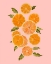 Picture of SPRING CITRUS II