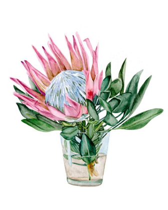 Picture of AWAKEN PROTEA II