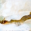 Picture of BRUME II