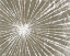 Picture of WHITE BURST I