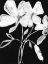 Picture of WHITE WHIMSICAL FLOWERS I
