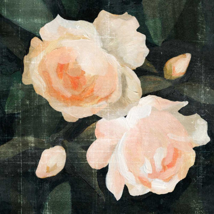 Picture of SOFT GARDEN ROSES I