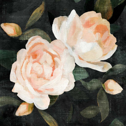 Picture of SOFT GARDEN ROSES II