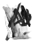 Picture of BLACK AND GREY COLLIDE I