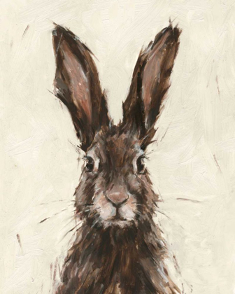 Picture of EUROPEAN HARE I