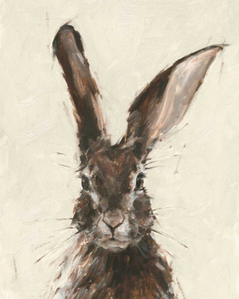 Picture of EUROPEAN HARE II