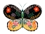 Picture of BUTTERFLY PETALS I