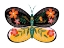 Picture of BUTTERFLY PETALS II