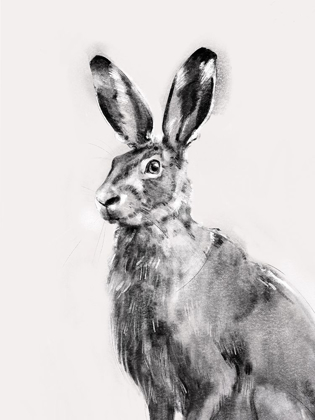 Picture of WILD HARE I