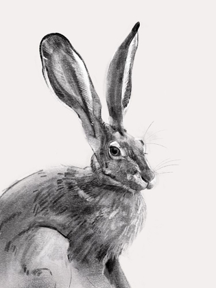 Picture of WILD HARE II