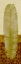 Picture of TROPICAL FROND I