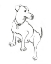 Picture of WAG: THE DOG IV