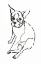 Picture of WAG: THE DOG VI