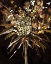 Picture of FLORAL CELEBRATION I
