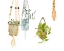 Picture of HANGING GREENS II