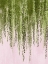 Picture of STRING OF PEARLS I