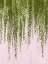 Picture of STRING OF PEARLS II