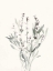 Picture of DELICATE SAGE BOTANICAL V