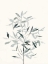 Picture of DELICATE SAGE BOTANICAL VI