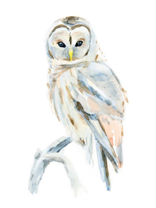 Picture of ARCTIC OWL II