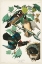 Picture of PL 206 WOOD DUCK