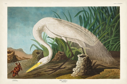 Picture of PL 386 WHITE HERON