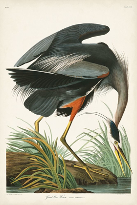 Picture of PL 211 GREAT BLUE HERON