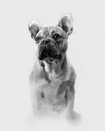 Picture of PUG PORTRAIT I