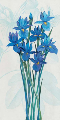 Picture of BLUE IRIS PANEL II