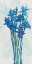 Picture of BLUE IRIS PANEL II