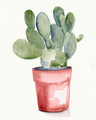 Picture of POTTED SUCCULENT I