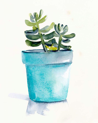 Picture of POTTED SUCCULENT II