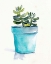 Picture of POTTED SUCCULENT II