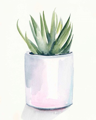 Picture of POTTED SUCCULENT III