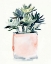Picture of POTTED SUCCULENT IV