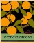 Picture of EURO POSTER V