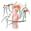 Picture of PINK COCKATOO II