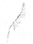 Picture of STEM CONTOUR V