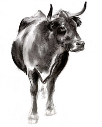 Picture of CHARCOAL CATTLE I