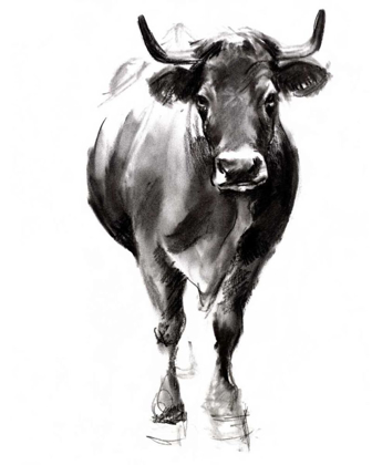 Picture of CHARCOAL CATTLE II