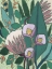 Picture of TROPICAL REVERIE II