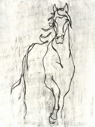 Picture of EMBELLISHED HORSE CONTOUR