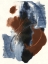 Picture of DENIM AND RUST II
