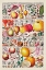 Picture of FRUIT CHART