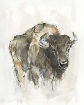 Picture of AMERICAN BUFFALO I