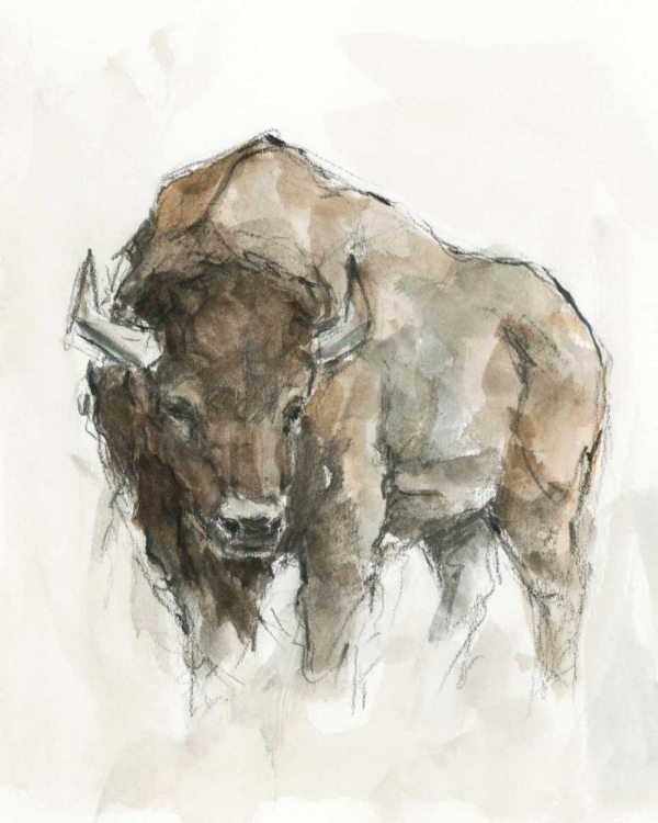 Picture of AMERICAN BUFFALO II